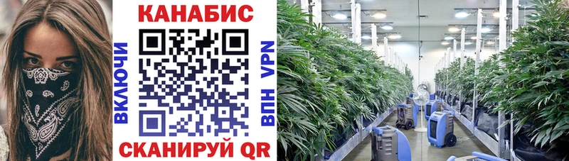 Канабис LSD WEED  дарнет шоп  Кимры 